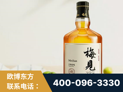 蛟河-梅见青梅酒